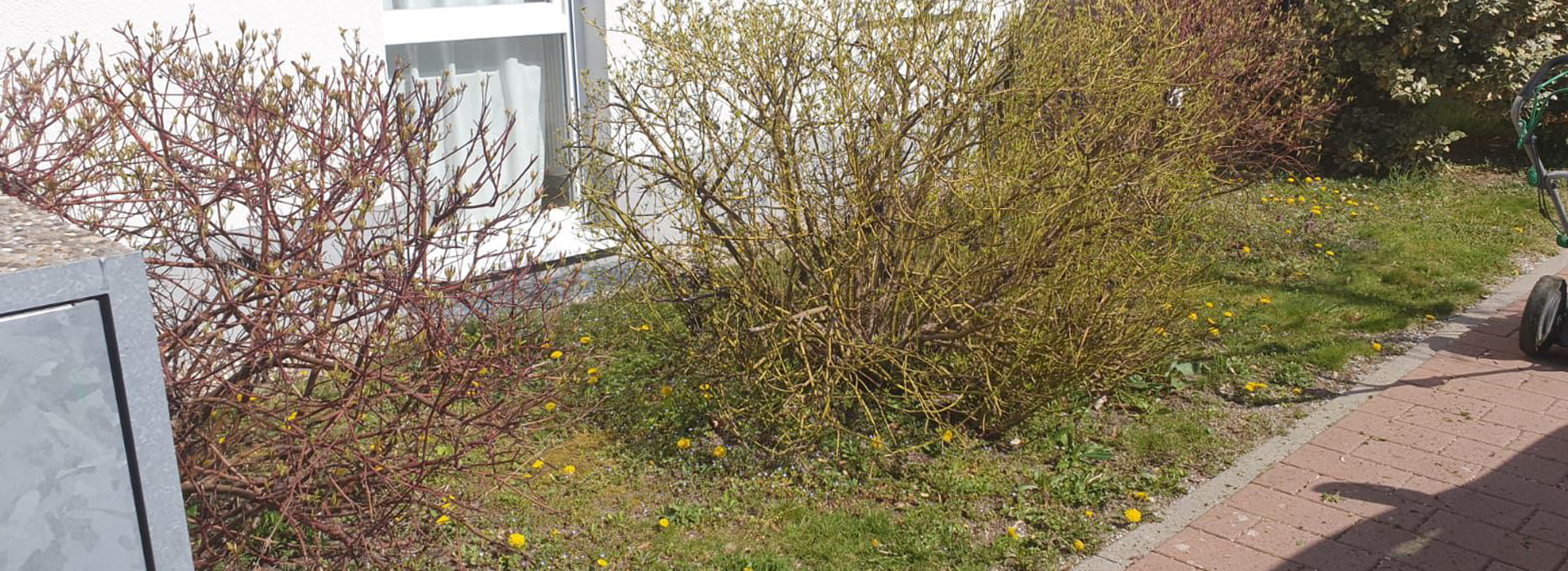 facilitymanagement 9